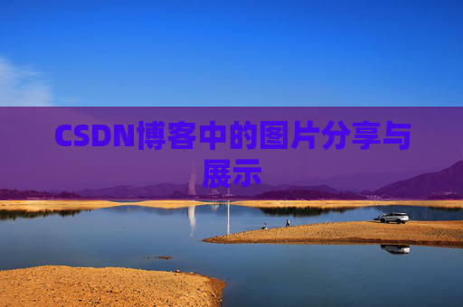 CSDN博客中的图片分享与展示